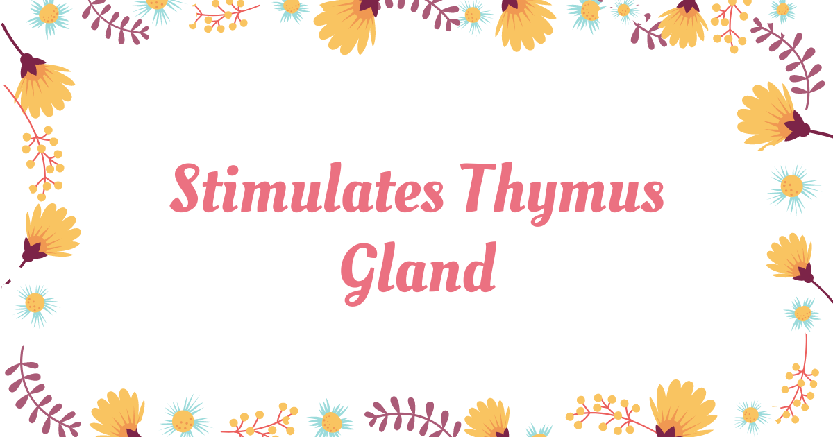 The Importance of Being Held – Stimulates Thymus Gland